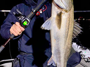 2月2号艇夜便シーバス