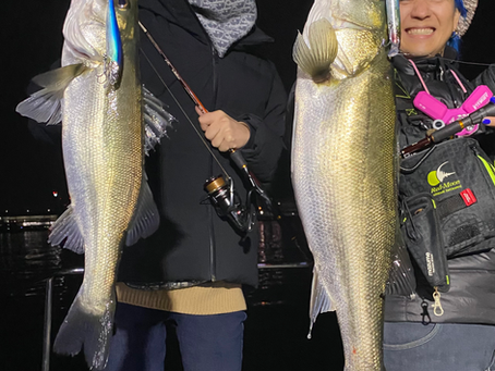 11月2号艇ミッドナイト便シーバス&アコウ