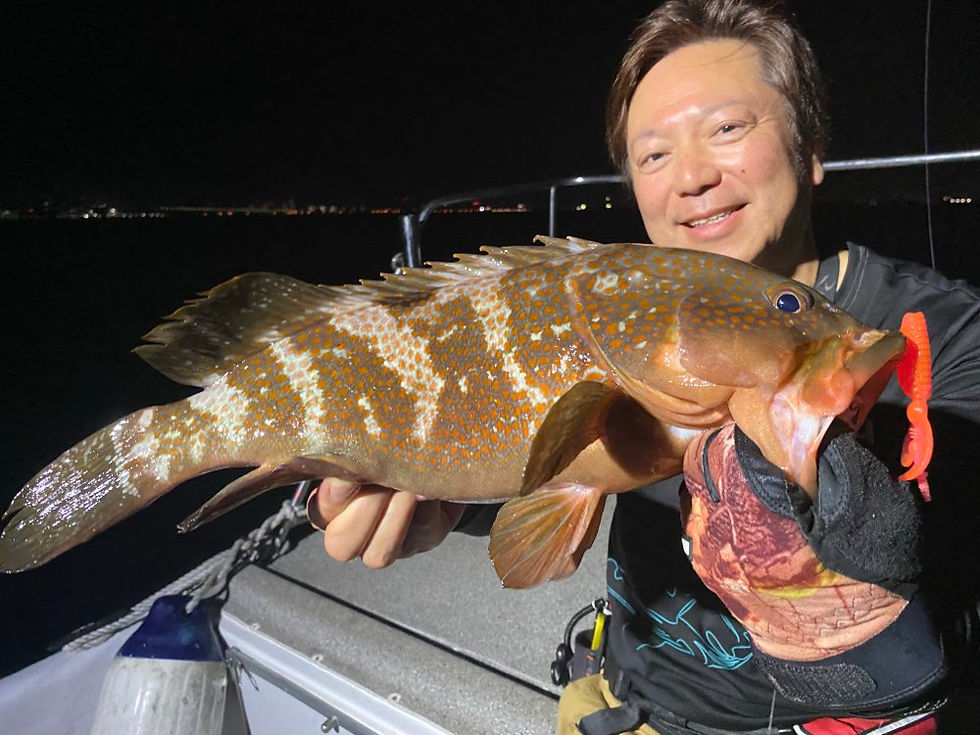 7月2号艇夜便アコウ