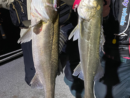 4月2号艇夜便ナイトシーバス