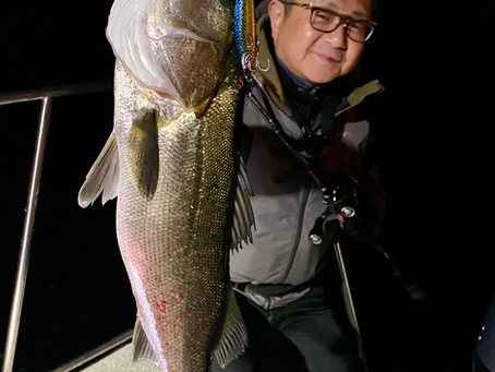 3月2号艇夜便ナイトシーバス
