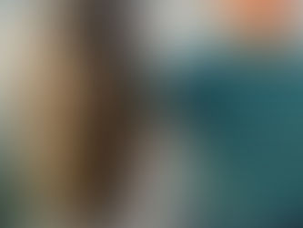 11月夜便シーバスナイトゲーム