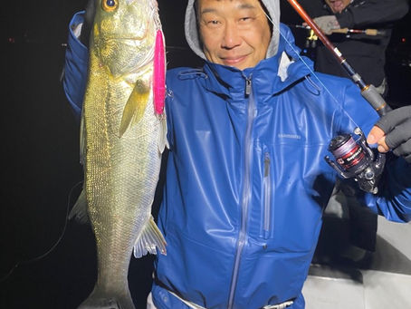 11月朝便シーバス&サワラ青物キャスティングゲーム