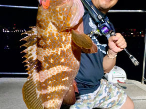 8月2号艇夜便アコウ