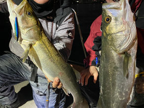 3月2号艇夜便シーバス