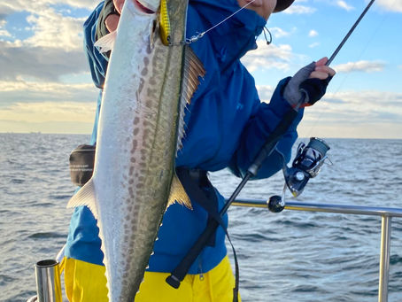 11月2号艇朝便シーバス&サワラキャスティング