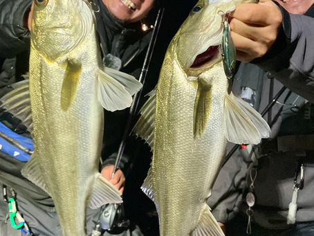 3月2号艇夜便シーバス