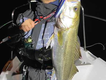 10月夜便シーバスキャスティング&アジング