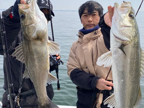 3月2号艇朝便ディシーバス