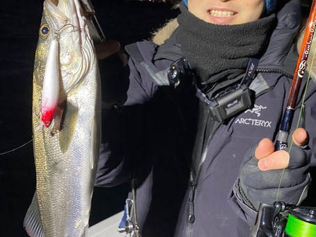 1月夜便シーバスナイトキャスティングゲーム