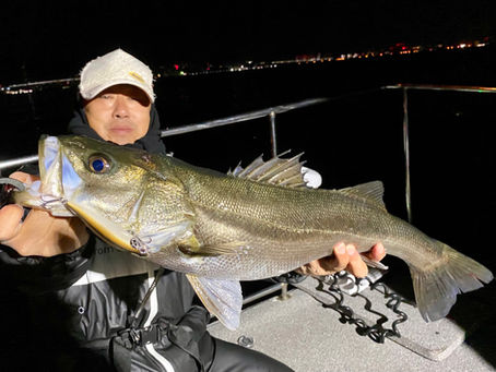 12月2号艇ミッドナイト便シーバス&サワラ