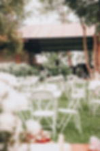 pexels-thaisph-29641446.jpg