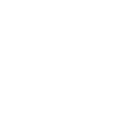 ZZ Logo White Small.png