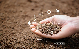 soil test