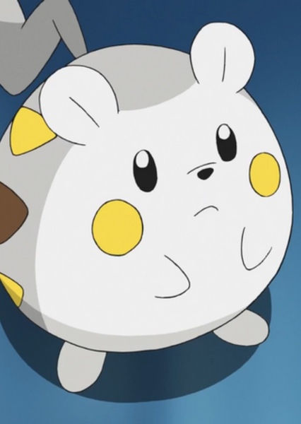 Pokemon- Togedemaru.jpg