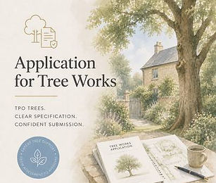 planning-application-approvals-28008.jpg