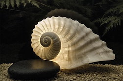 sophiahanover._httpss.mj.runjp4gNjH63bk_httpss.mj.runiGJFfrZe_7d10bceb-036c-4170-8fff-f78f