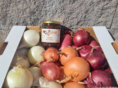 Cipolle e miele