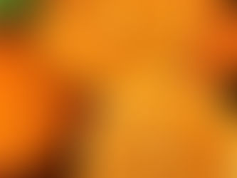 Come scegliere le migliori arance: consigli per agrumi freschi e succosi