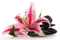 Fotolia_Dierking_web.gif