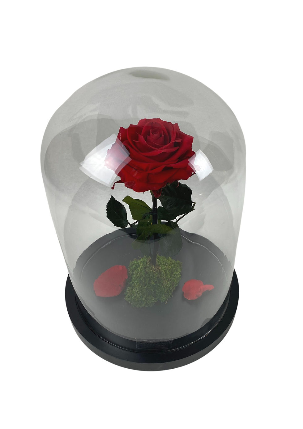 Thumbnail: Bell jar D20H28 XL