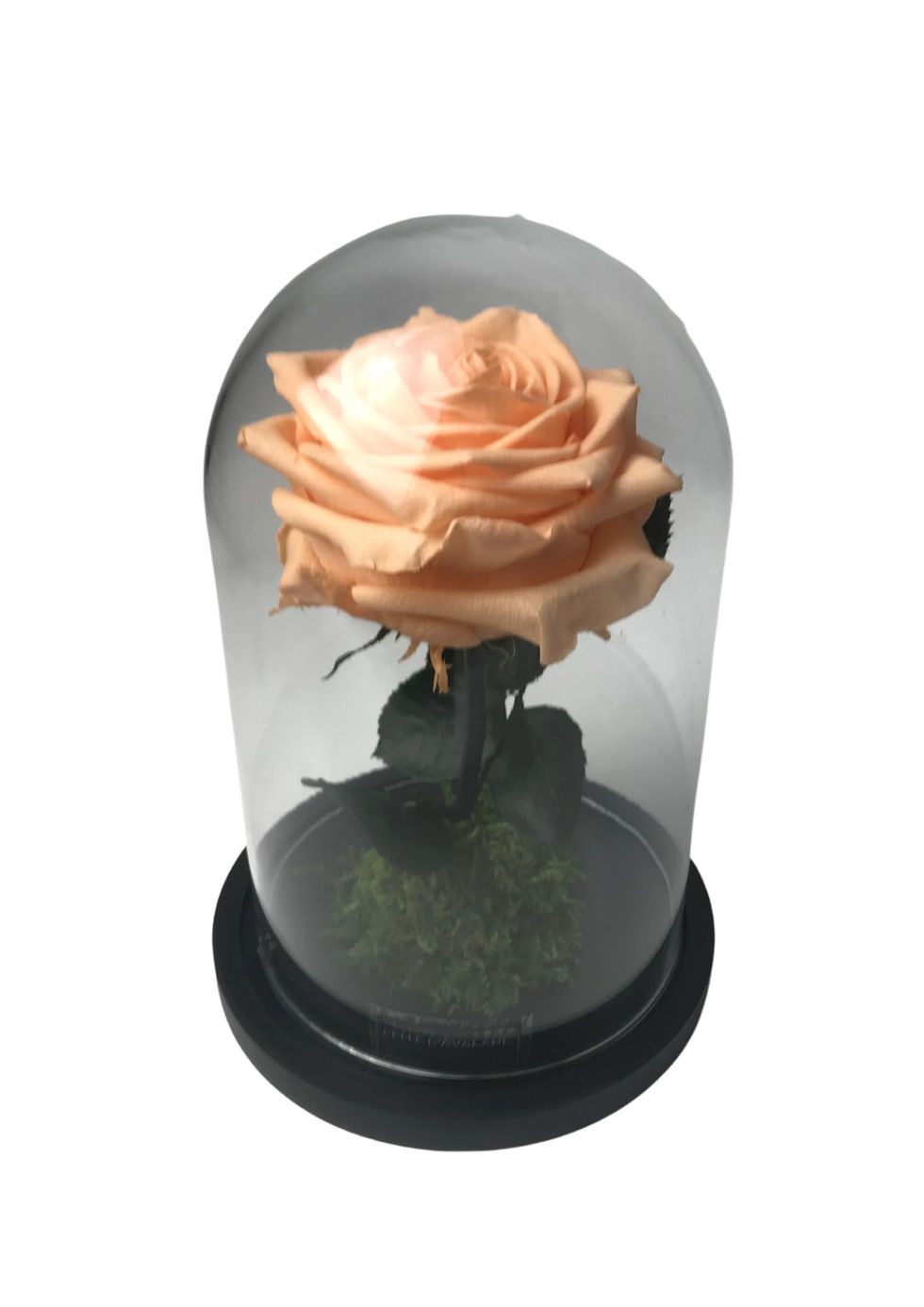 Thumbnail: Bell jar D12H20 XL