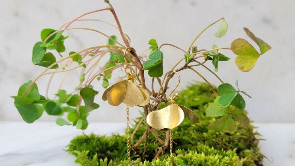 Nuova collezione: Oxalis