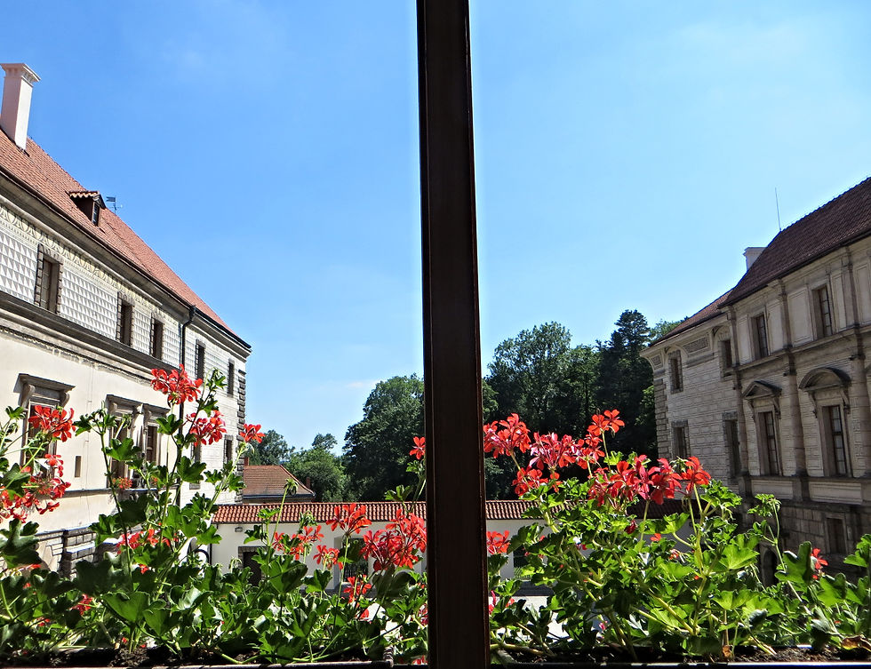 Castle Window