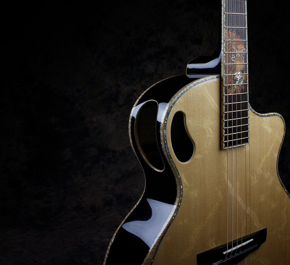 The Da Vinci Driftwood Guitars