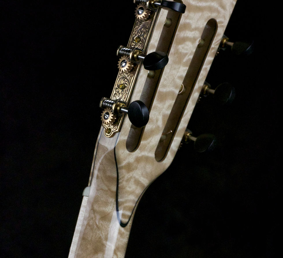The Da Vinci Driftwood Guitars