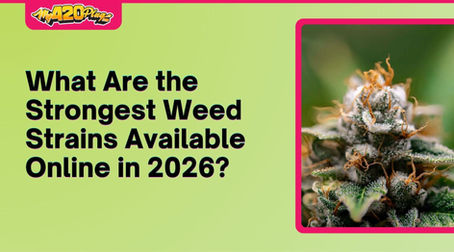 How to Choose the Strongest Weed Strains Available Online