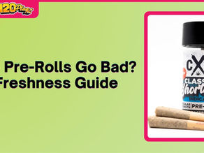 Do Pre-Rolls Go Bad? How Long They Really Last
