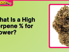 What Is a High Terpene % for Flower?