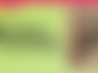 What Weed Strain Is Best for ADHD? (2026 Guide)