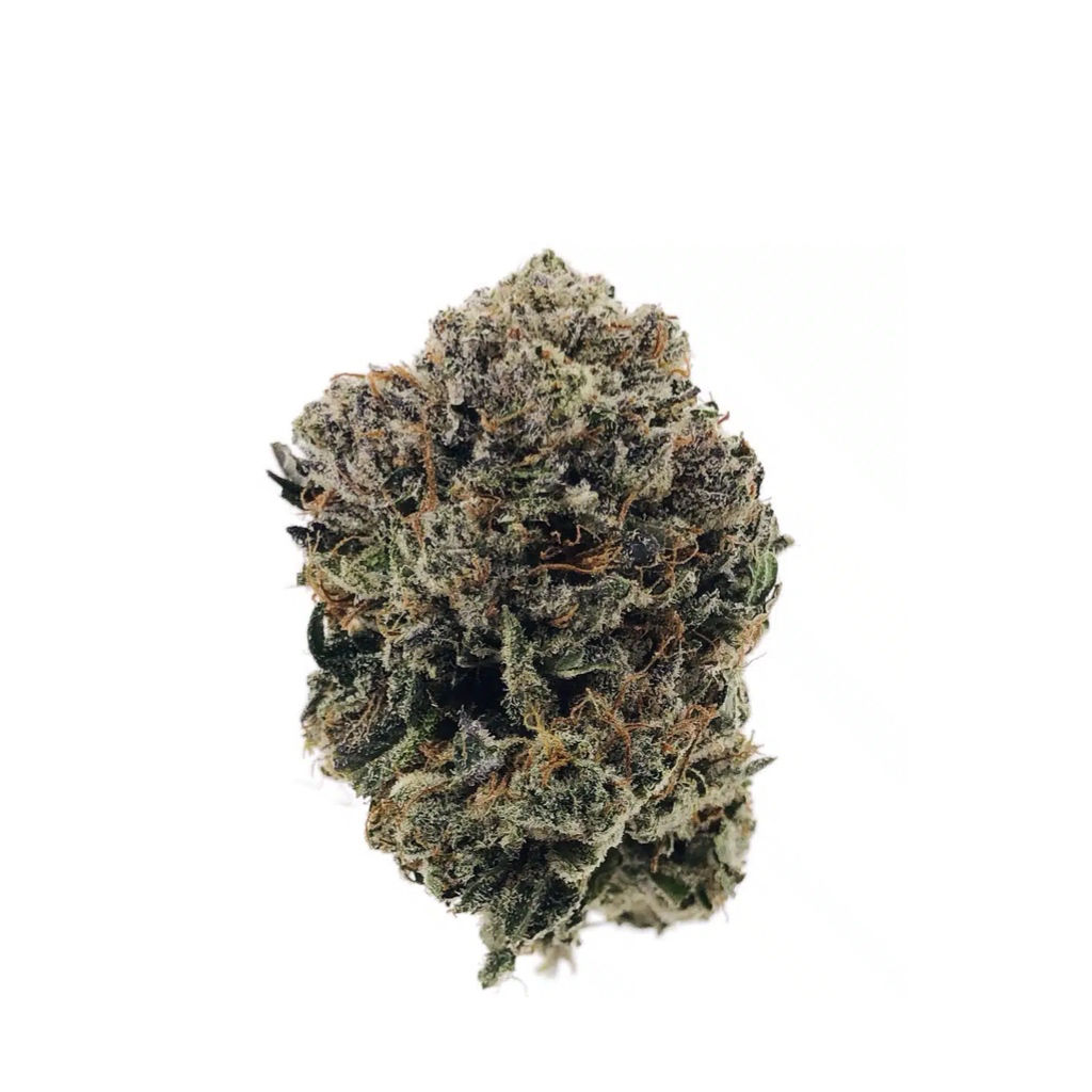 Woolex On The Moon - OZ 