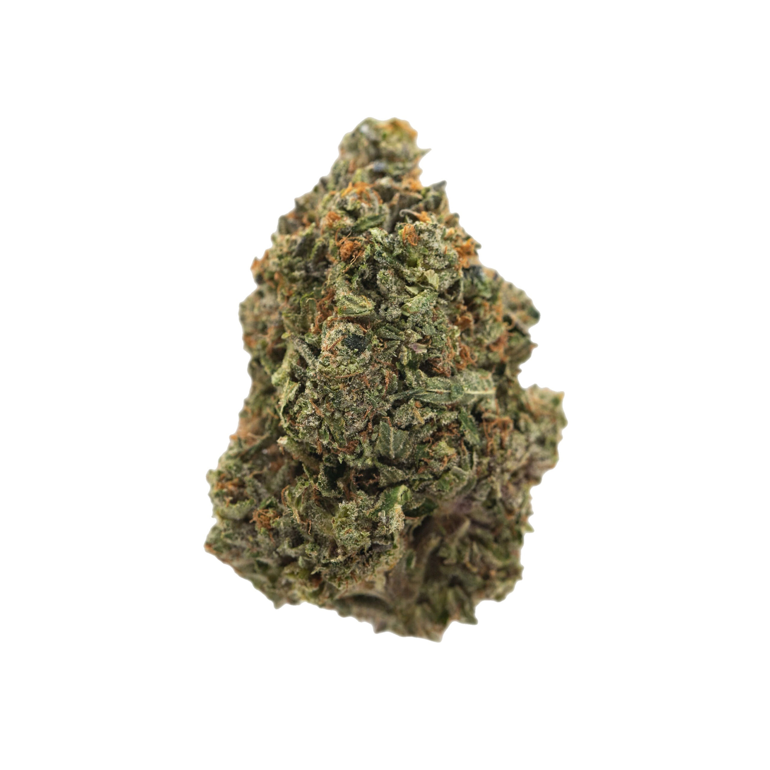 Golden Goat Smalls-OZ