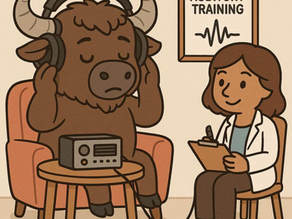 Buffalo Model Auditory Training Therapy: Helping Brains Hear Better