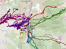Mule deer migration map