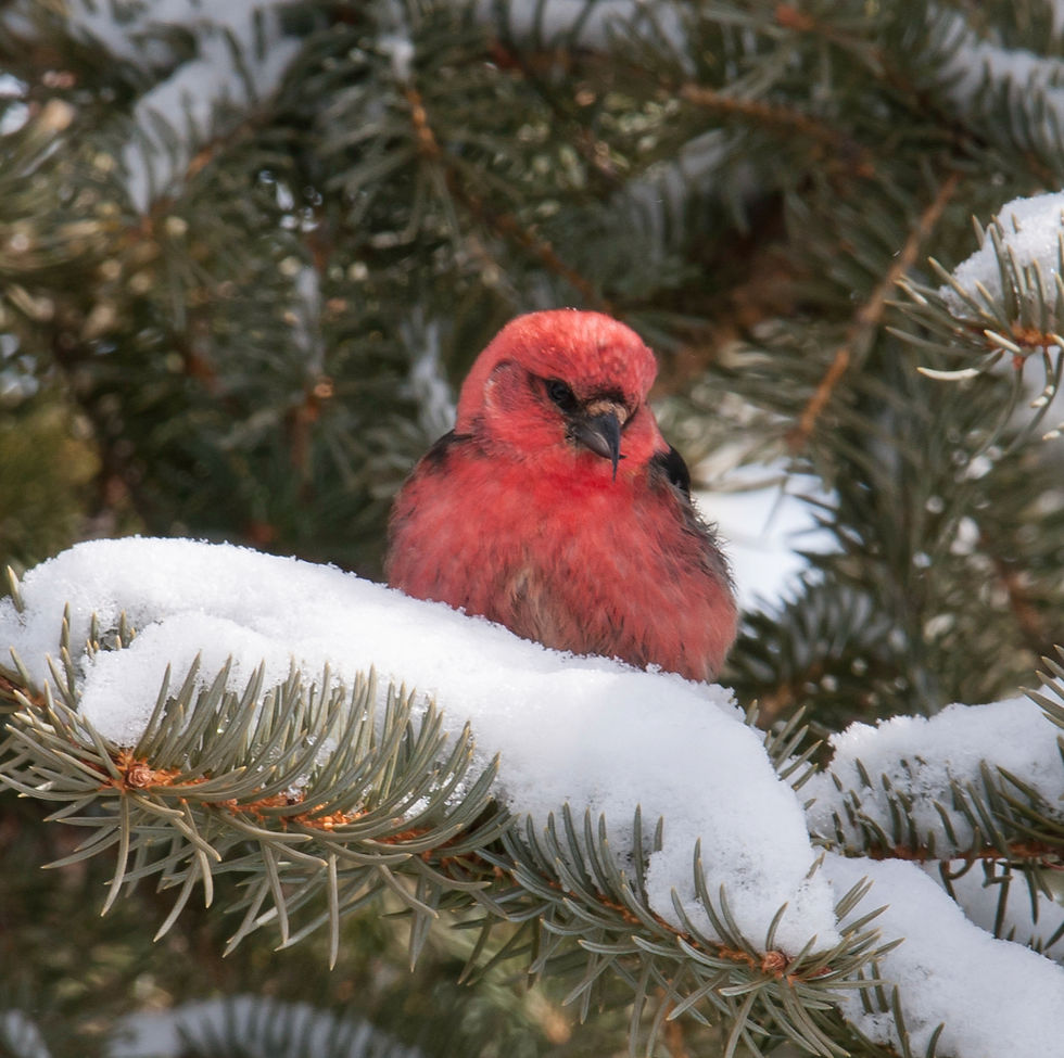 Photo Credit: John Hebberger, Jr.