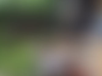 A new studio in Spring