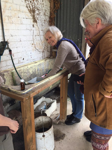 developing the cyanotypes