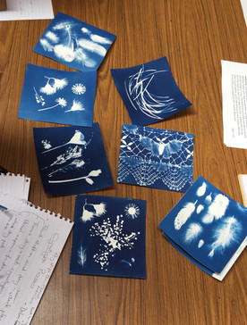 Beautiful cyanotypes