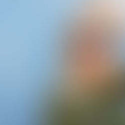 Missä on Lahden paras koti? Opas asuinalueisiin ja laadukkaaseen vuokra-asumiseen 2026 🏠✨