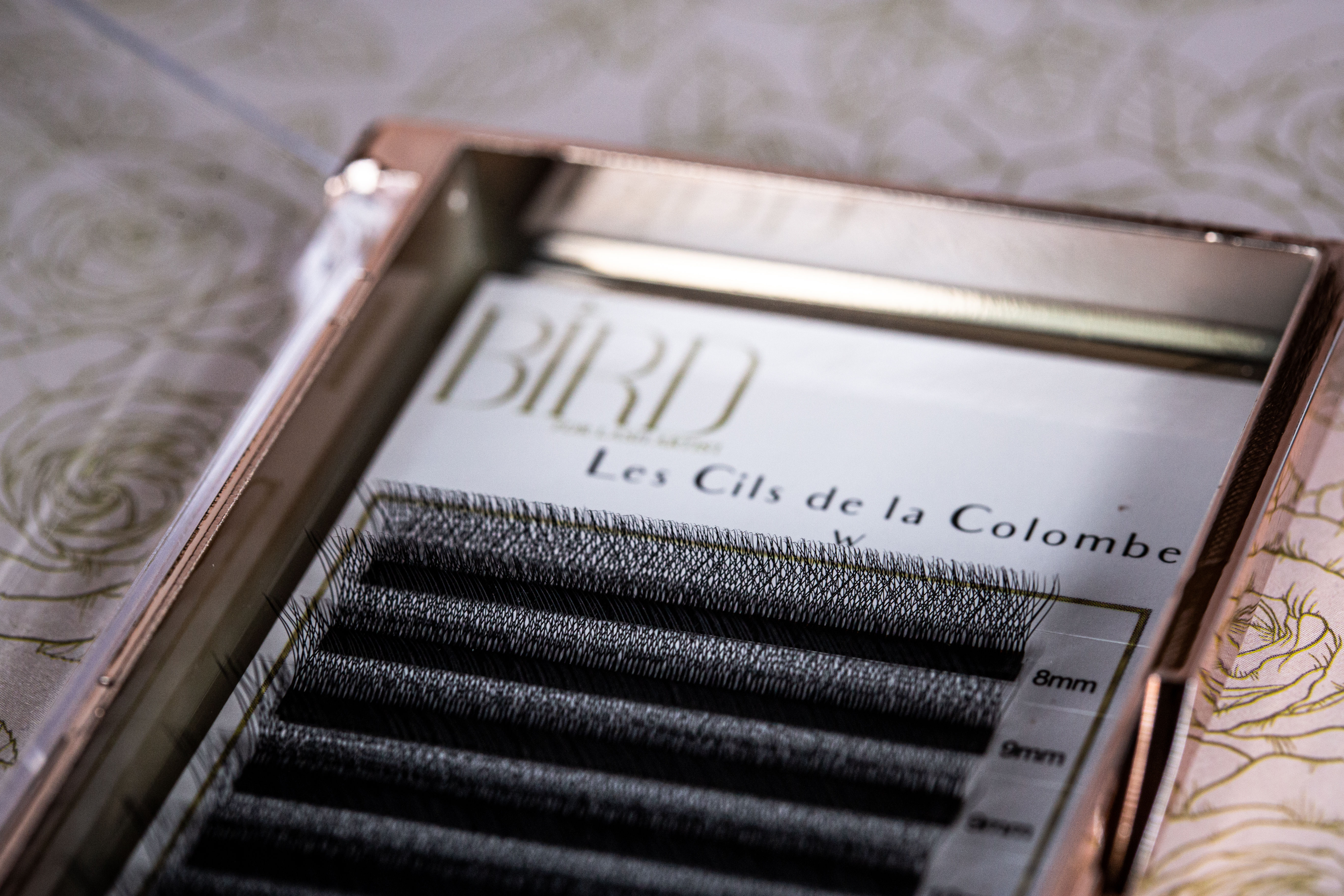 Extensions de Cils en W – Volume Russe Express