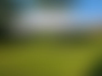 De Ultieme Gids voor het Huren van partytenten