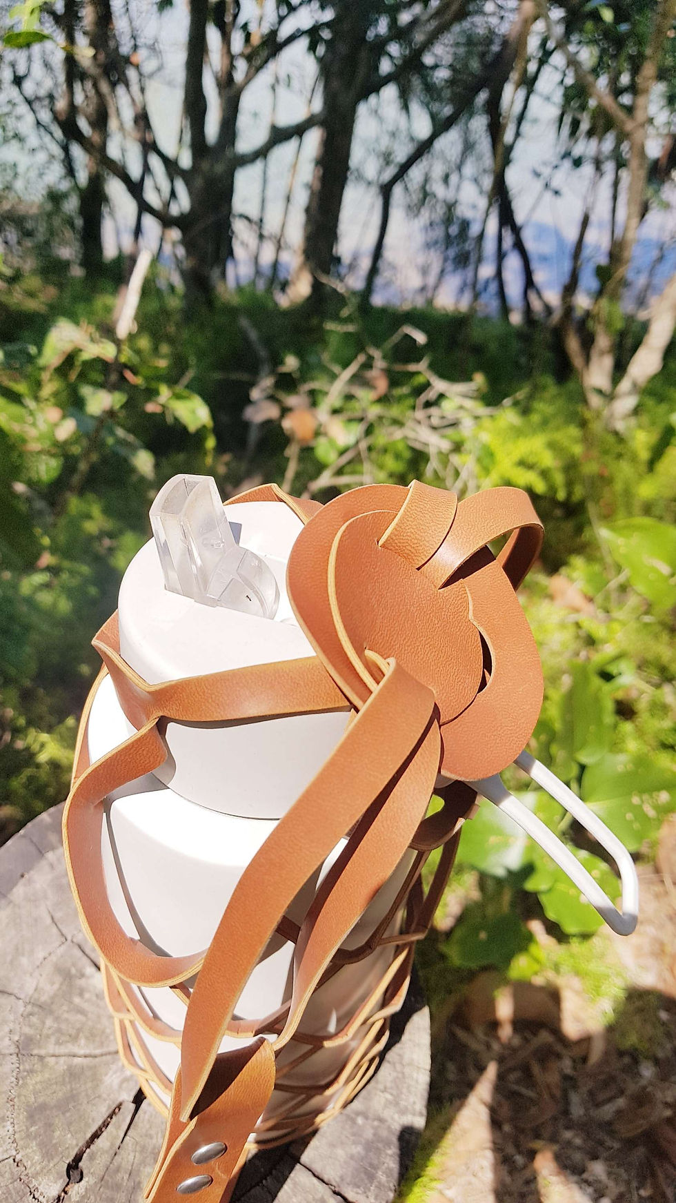 Thumbnail: Frankgreen bottle carrier disc closure