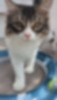 Screenshot_20240823-124505 (1)_edited.jpg