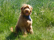 Elly