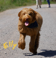 Elly