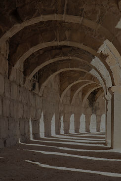 TriCap Redesign-2_edited.jpg